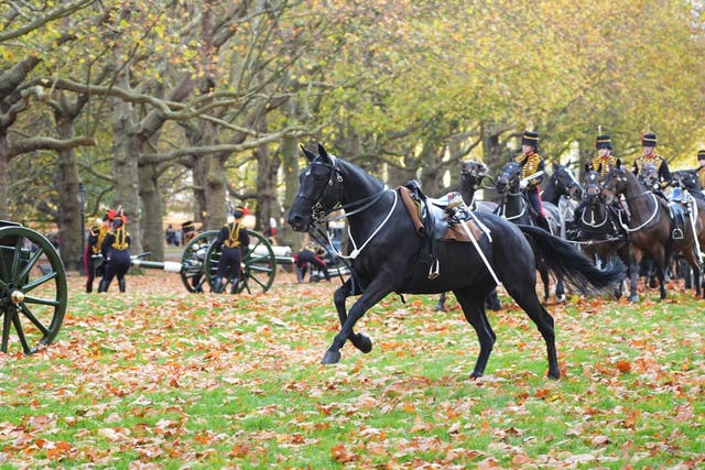 <p>Horses misbehaving at King Charles’ 76th birthday gun salute</p>