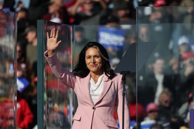 <p>Former Rep. Tulsi Gabbard (R-HI) takes the stage during a Republican presidential nominee, former U.S. President Donald Trump campaign rally at Lancaster Airport on November 03, 2024 in Lititz, Pennsylvania</p>