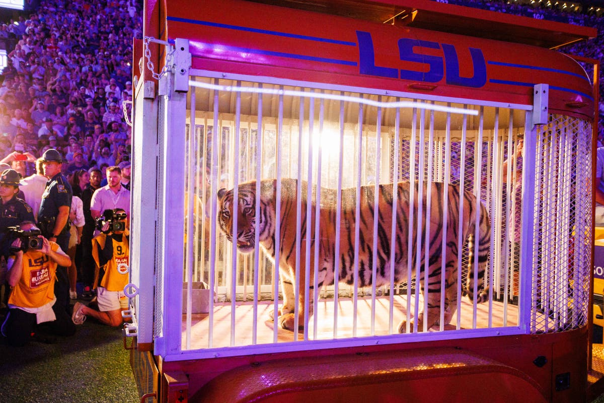 LSU student accused of threatening to kill governor who endorsed having a live tiger at football game