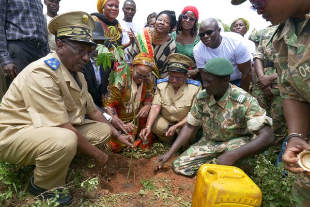 Mali Deforestation