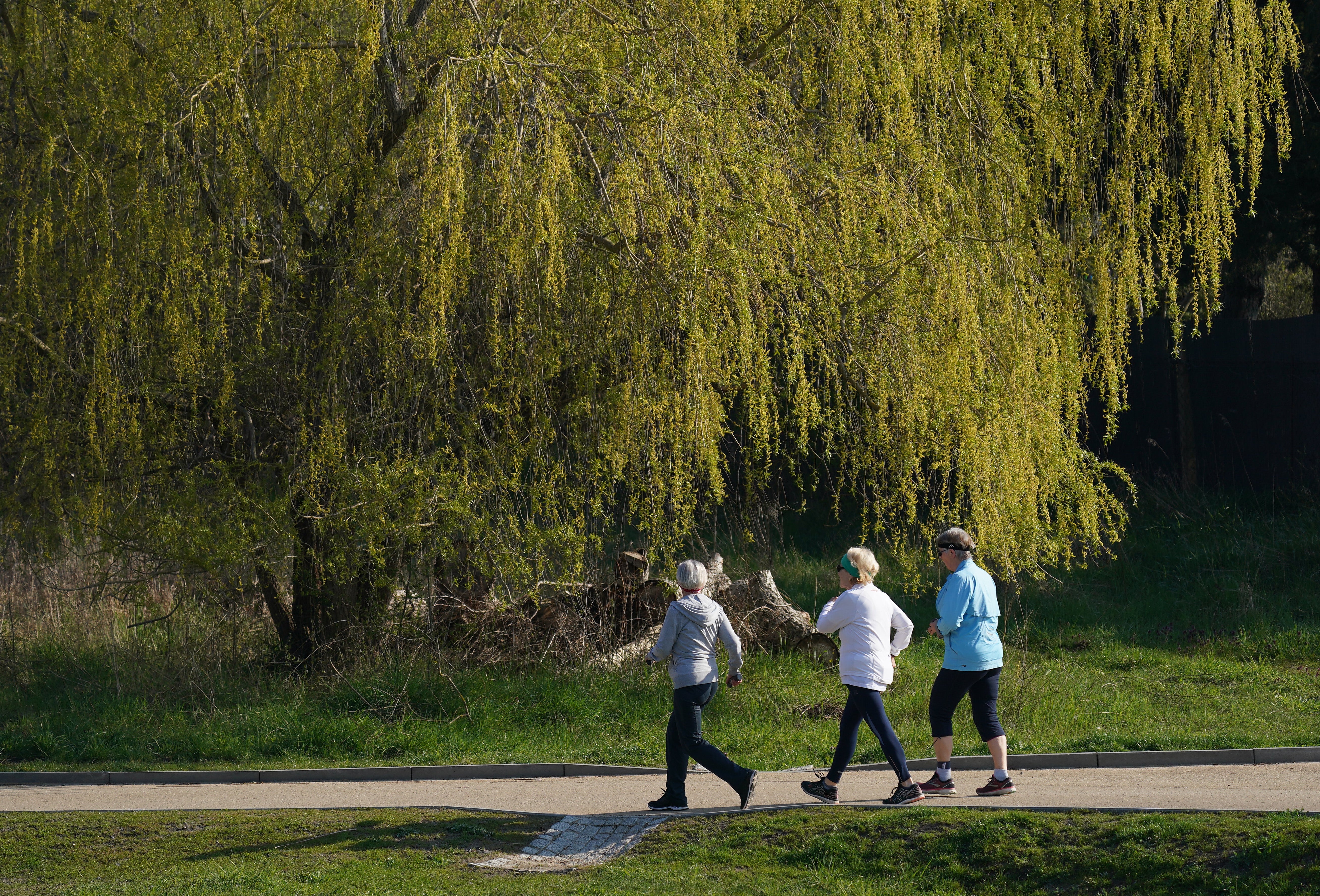 Elderly women walk at a fast pace in a park in Berlin