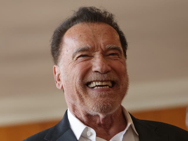 <p>Terminator star Arnold Schwarzenegger has weighed into the LA protests debate</p>