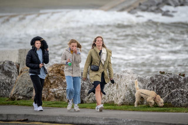 <p>People walk their dog along the sea front in Porthcawl, Wales - a suggestion has been made to create canine-free zones by Climate Cymru BAME </p>