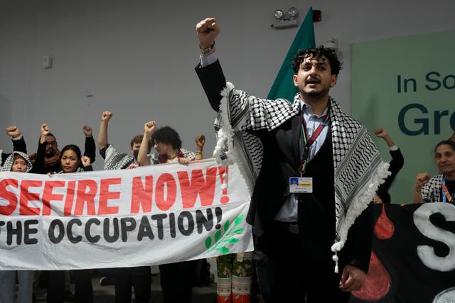 COP29 Climate Summit