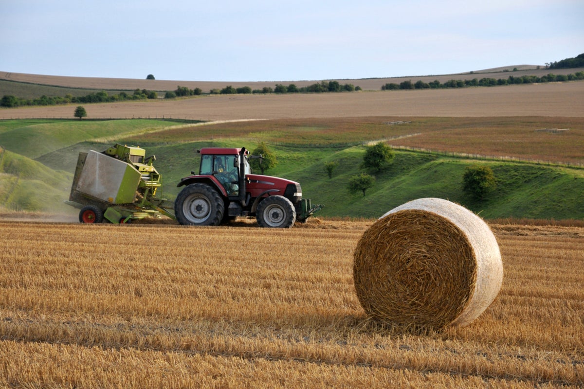 Post-Brexit sales of British farm products to EU drop 37%, farmers’ union says
