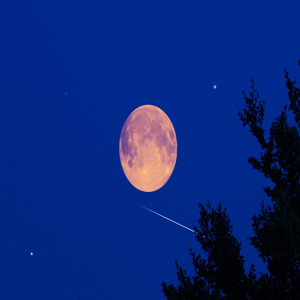 November Super Moon Amidst Meteor Shower IMDB1