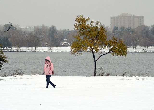 <p>A woman walks through the snow at a park in Denver, Colorado, last week. A new report says that a colder winter could put parts of the US at an elevated risk of having energy shortages </p>