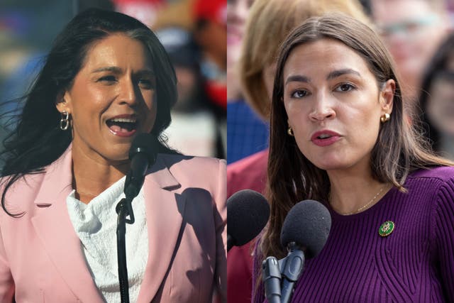 <p>Tulsi Gabbard and Alexandria Ocasio Cortez</p>