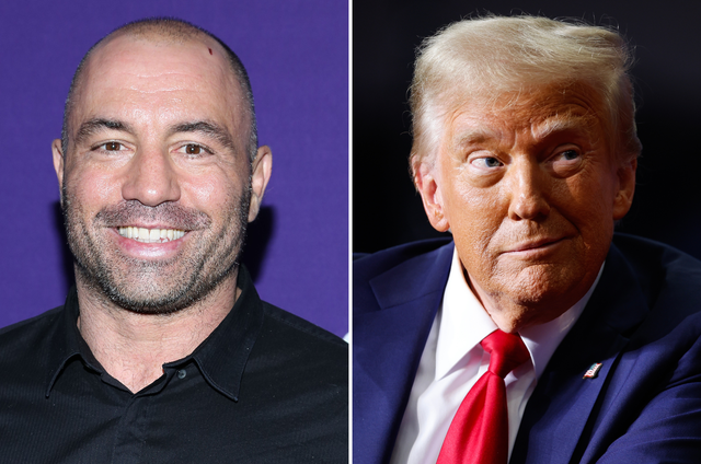 <p>Joe Rogan and Donald Trump</p>