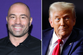 Joe Rogan ‘pushed Trump to back off on mass deportations’ at a dinner before slamming him over ICE raids