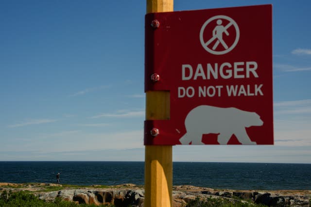 <p>Along the rocks near Hudson Bay while watching for polar bears in Churchill</p>