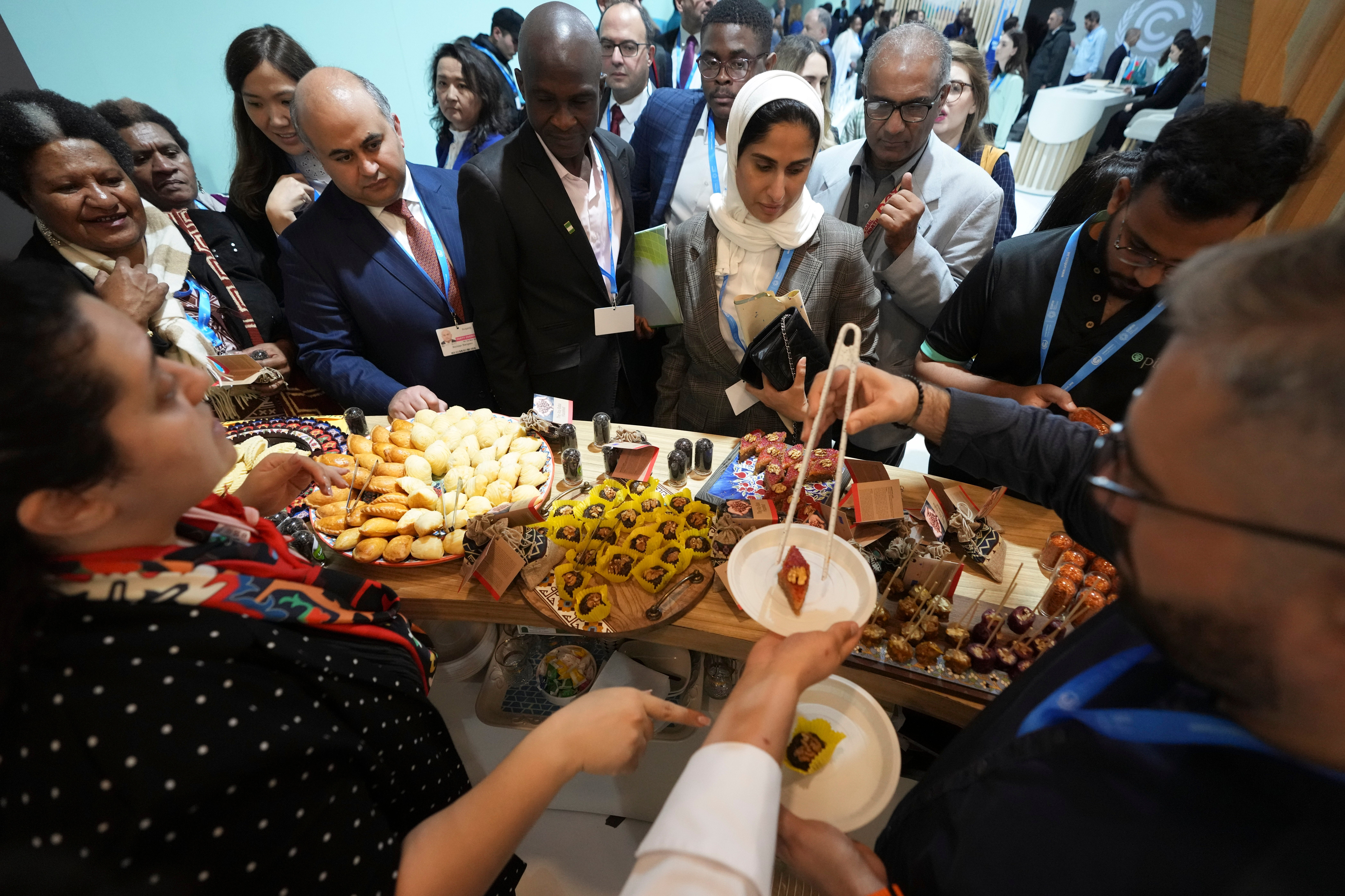 COP29 Climate Summit