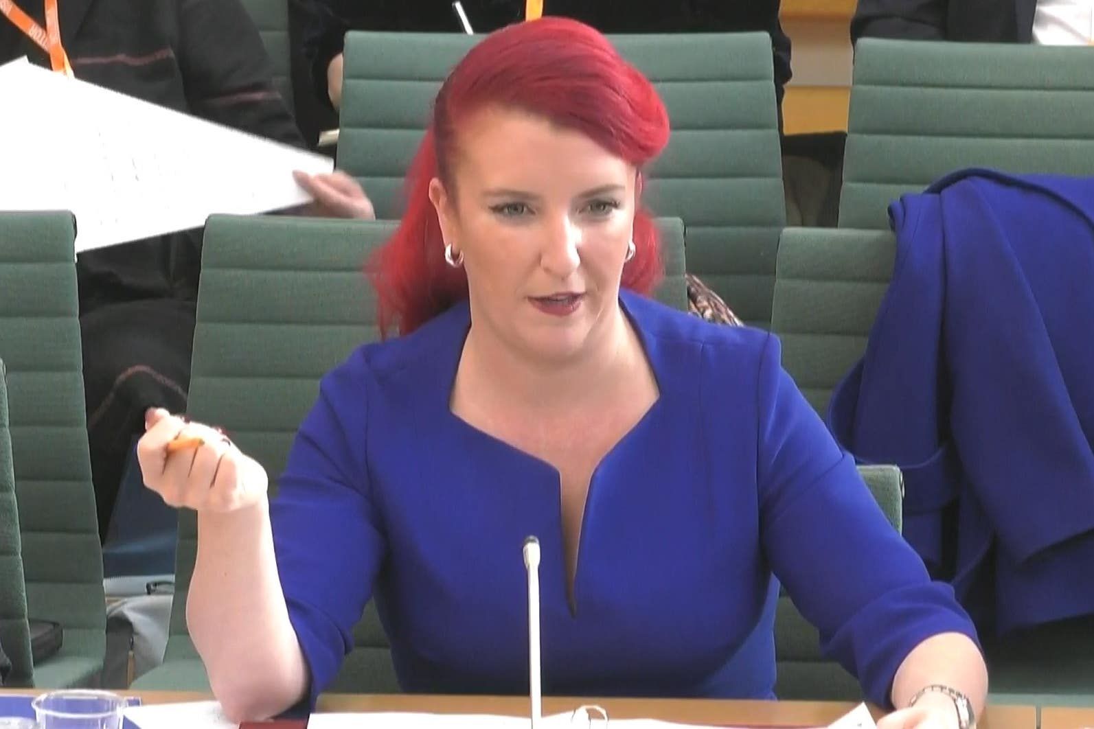 Screen grab of Transport Secretary Louise Haigh appearing before the Transport Select Committee.