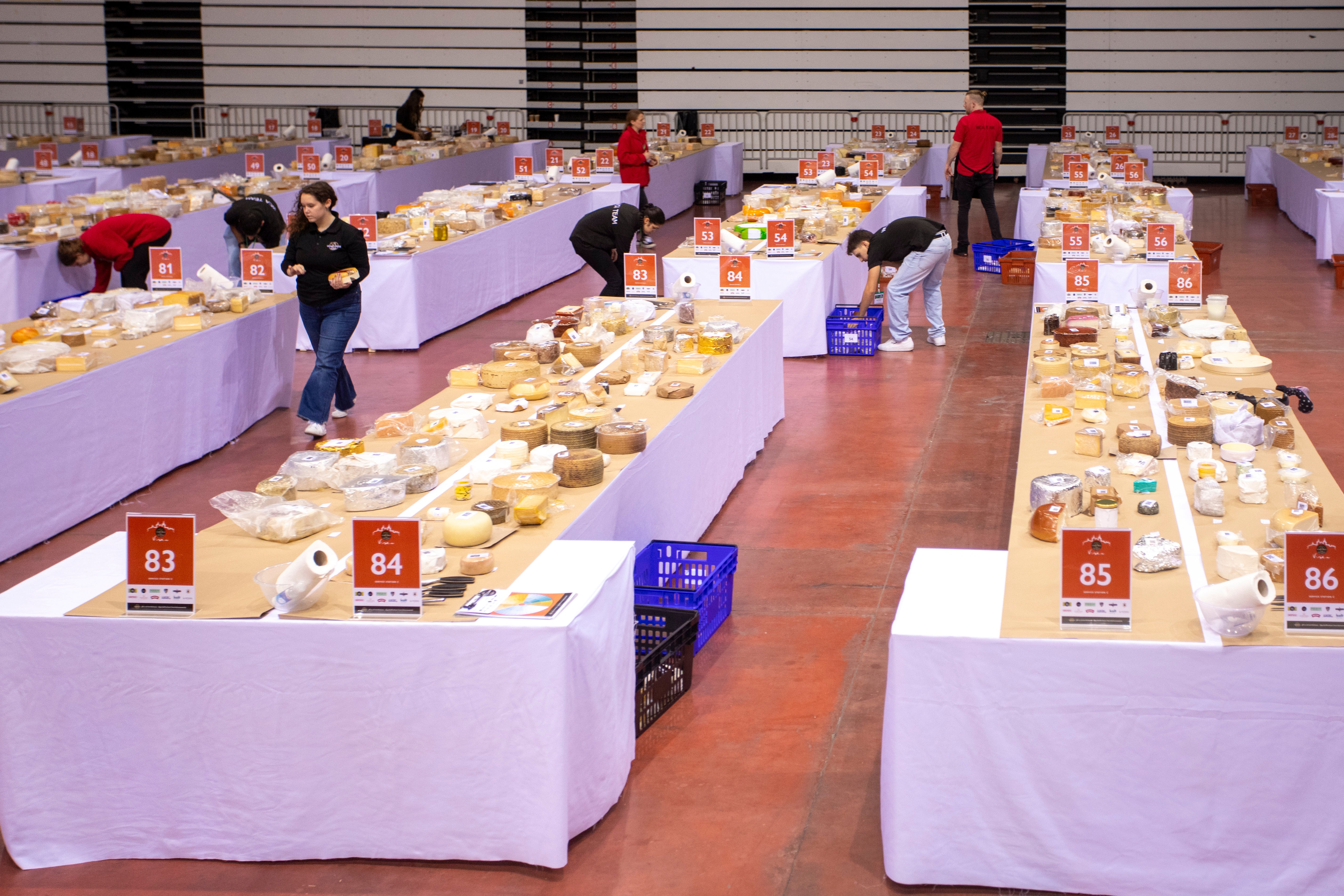 Nearly 250 experts from 47 countries participated in the World Cheese Awards in Viseu, Portugal