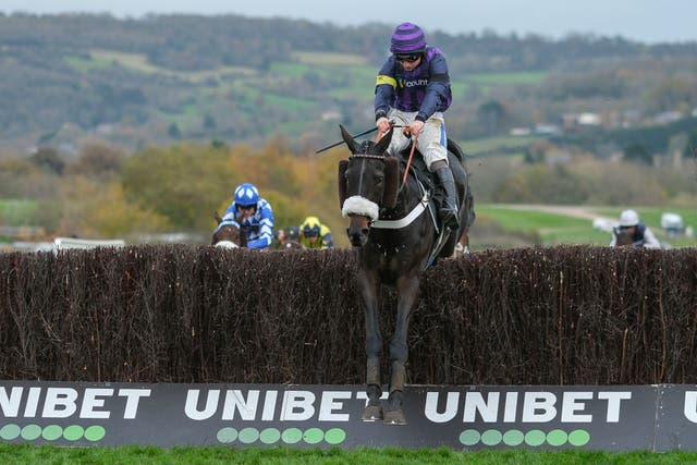 <p>Abuffalosoldier collapsed moments after winning the Holland Cooper Handicap Chase race </p>