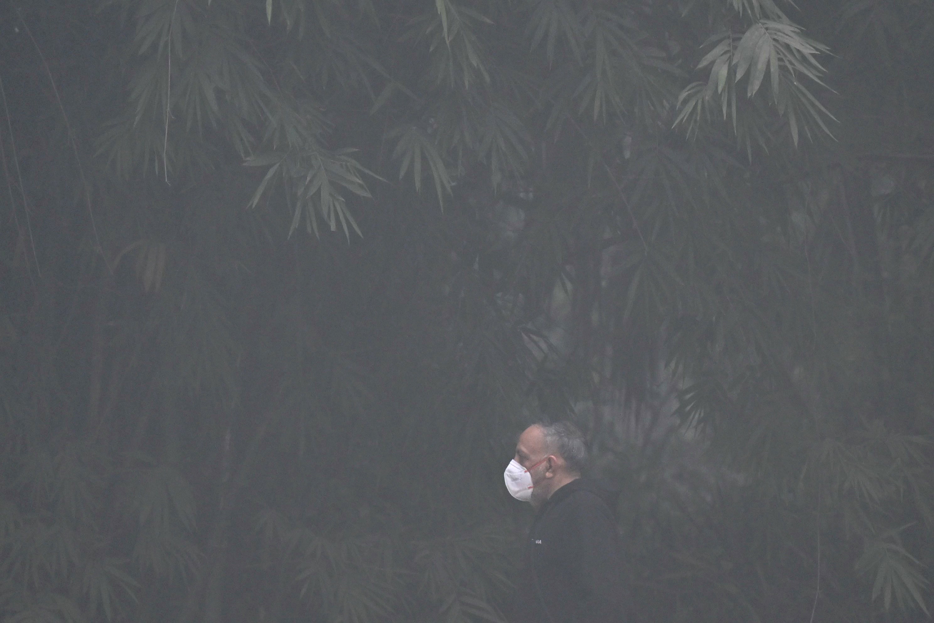 A man wears a mask during his morning walk amid smog in the Lodhi Gardens in Delhi