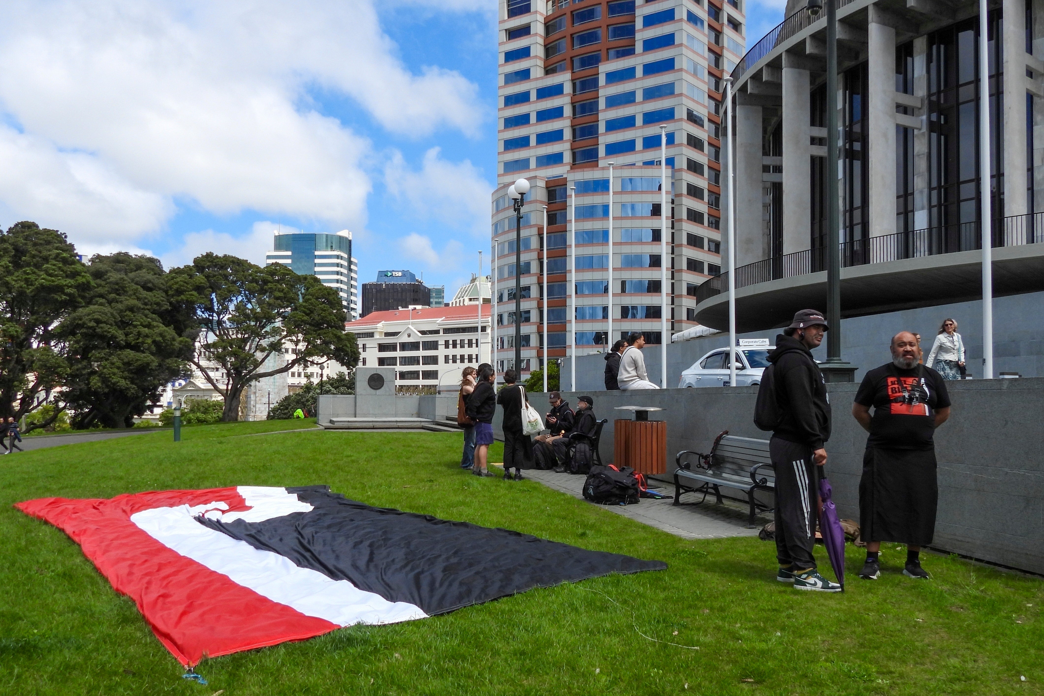 Protesters against the Treaty Principles Bill stand by a Māori sovereignty flag outside Parliament in Wellington