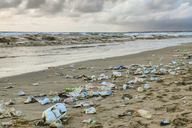 <p>Overtourism has been blamed for creating a ‘plastic apocalypse’ in Bali</p>