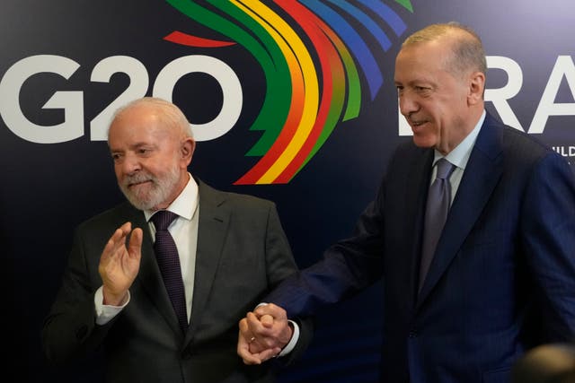 BRASIL-G20