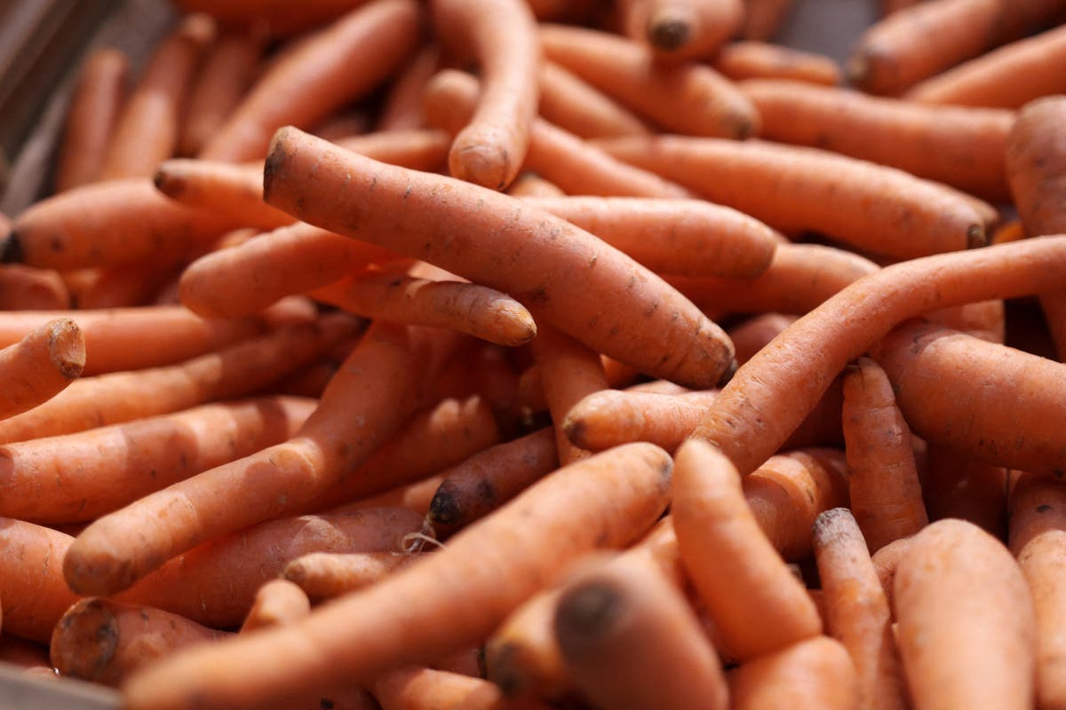 Contaminated carrots recalled after E coli outbreak leaves one dead and dozens fall sick