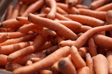 One dead and dozens fall sick after eating contaminated carrots