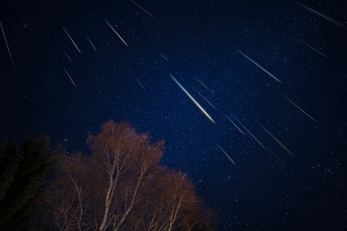 Leonid meteor shower: Break in bad weather offers last chance to see shooting stars