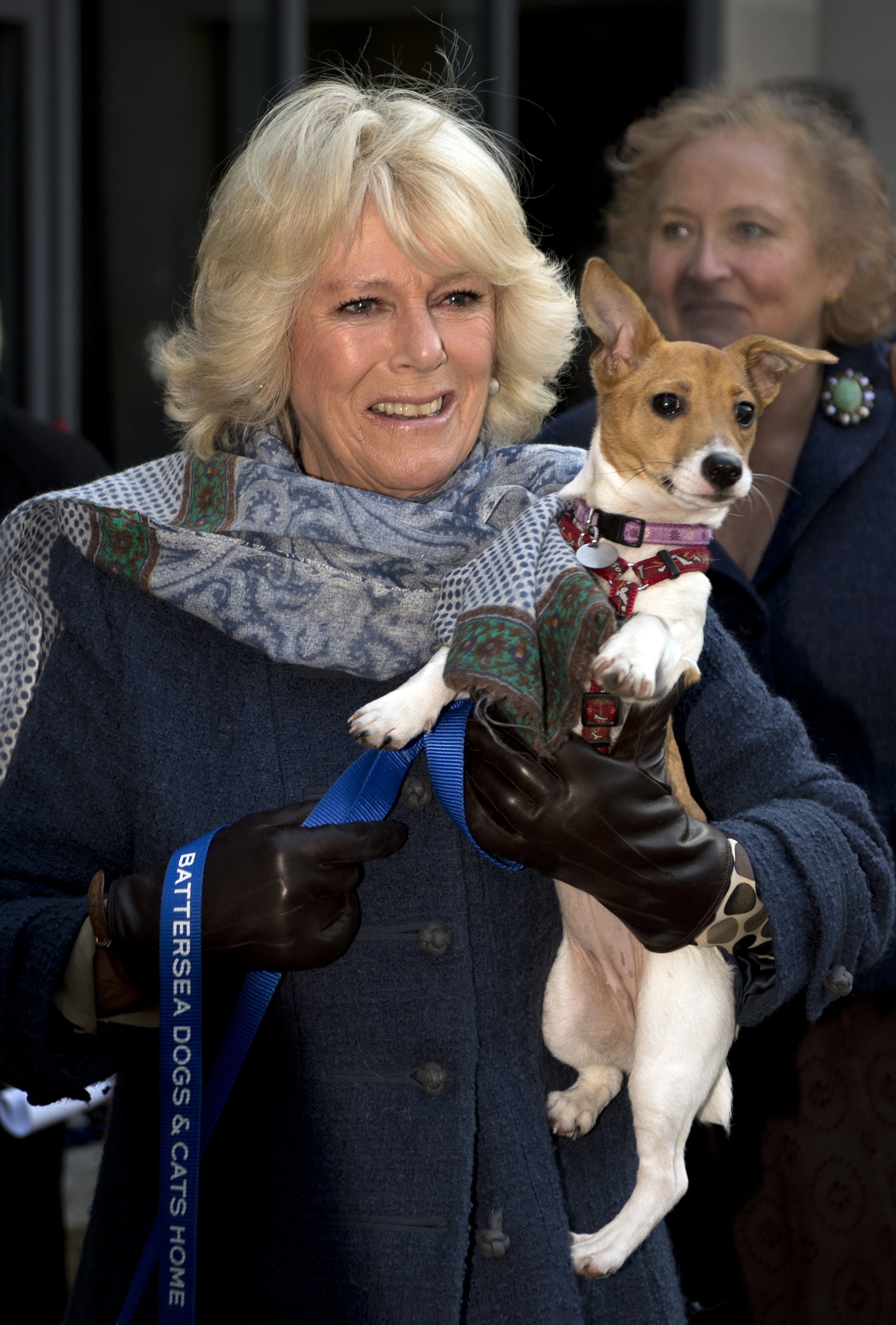 The Queen with her terrier Beth, who recently died