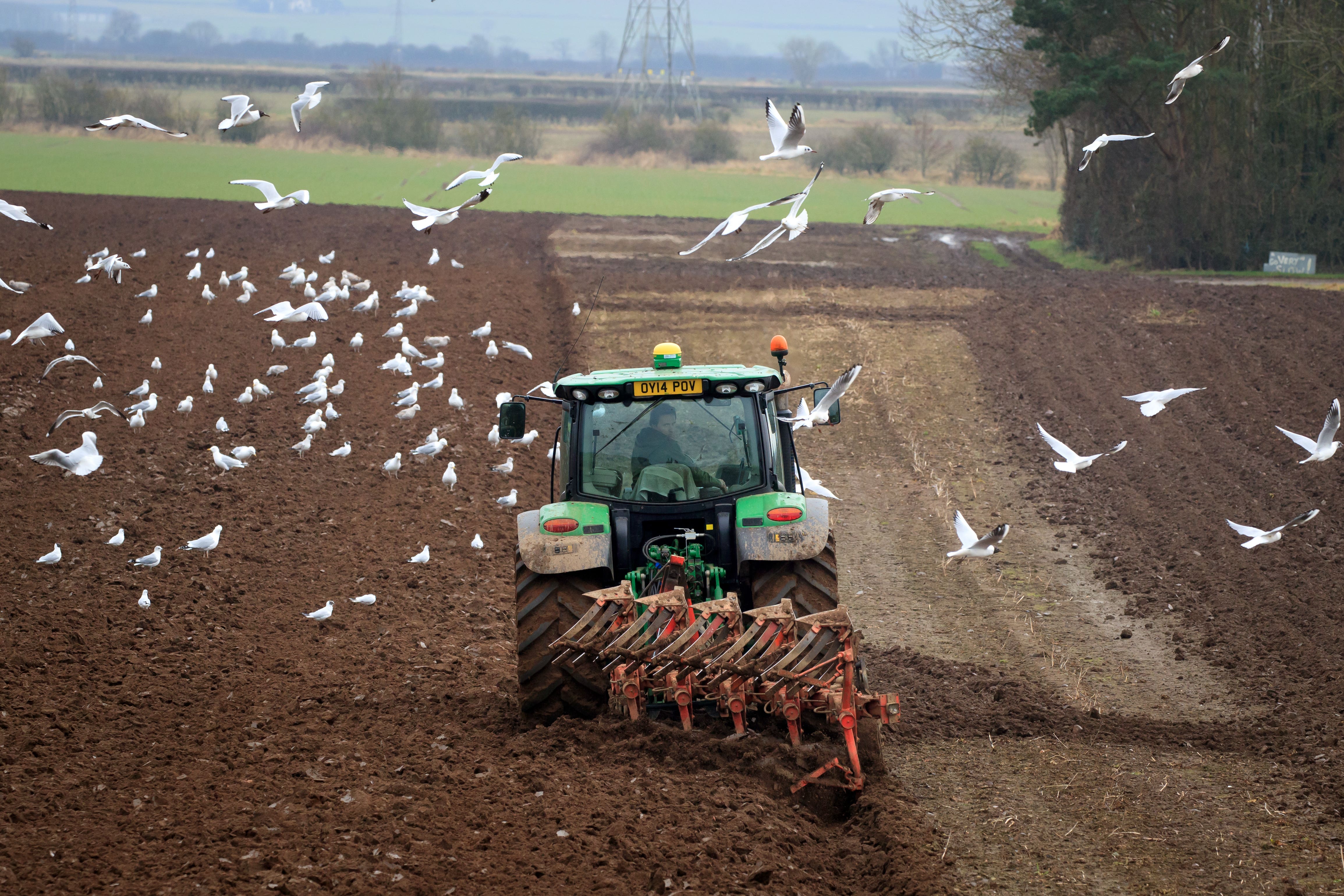 Landwirte bestehen darauf, dass die Änderung der Erbschaftssteuer rückgängig gemacht werden muss (Danny Lawson/PA)