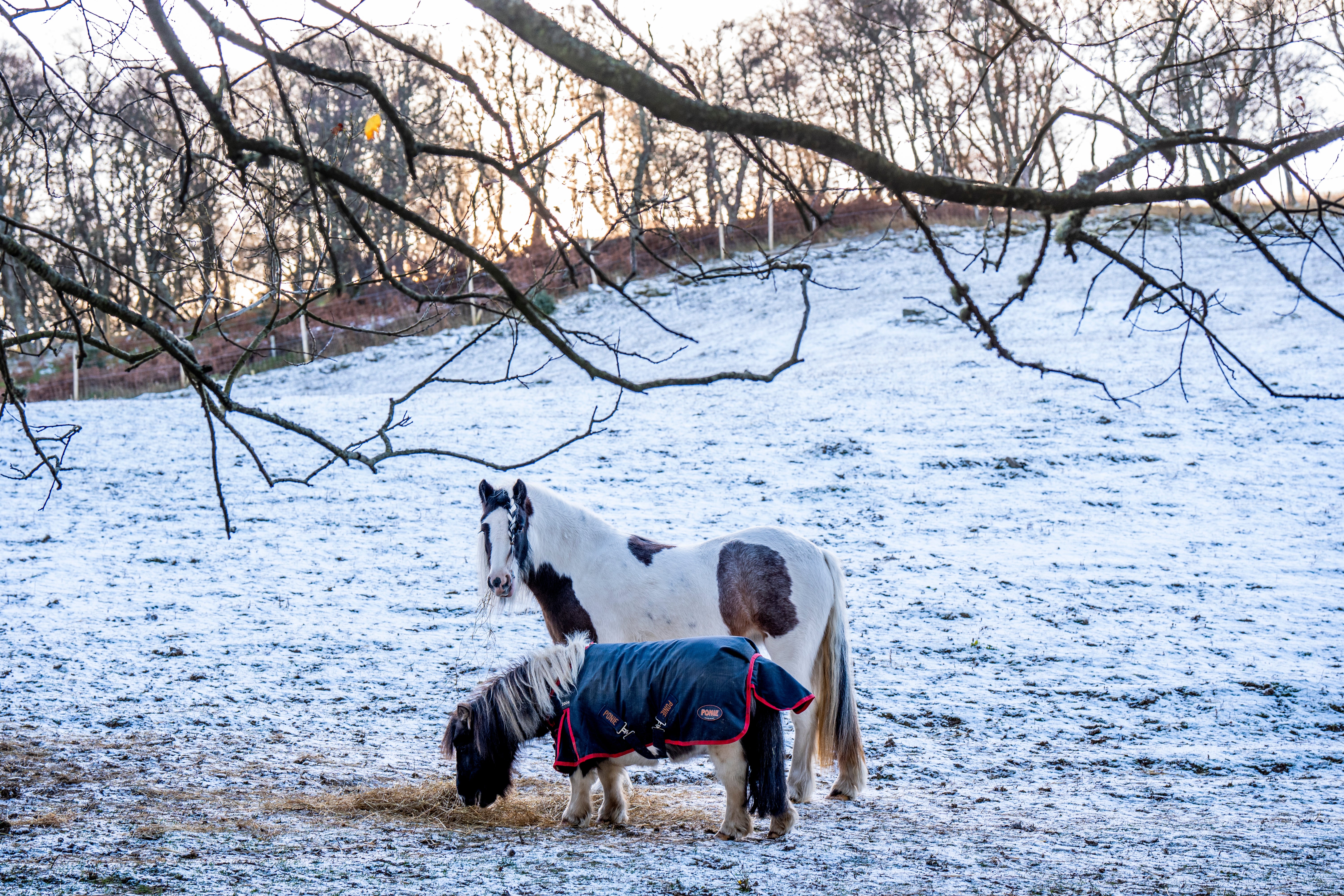 More snow has been forecast to fall across parts of the UK after the coldest night of the season so far brought wintry showers.