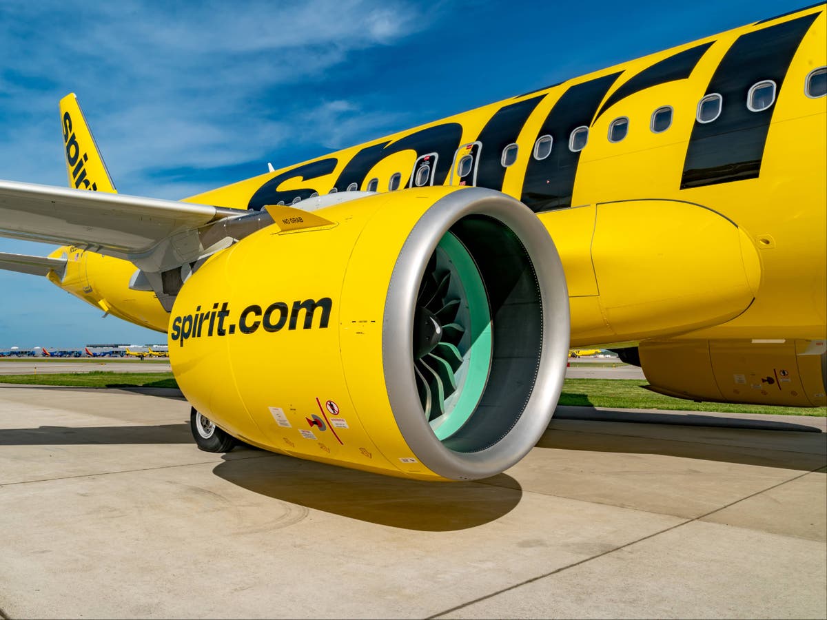 What happens to my flight now that Spirit Airlines has filed for bankruptcy?