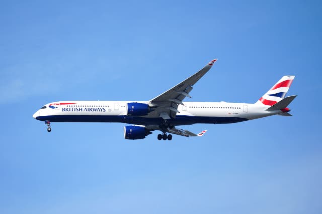 BA customers around the world complained of delays (David Davies/PA)