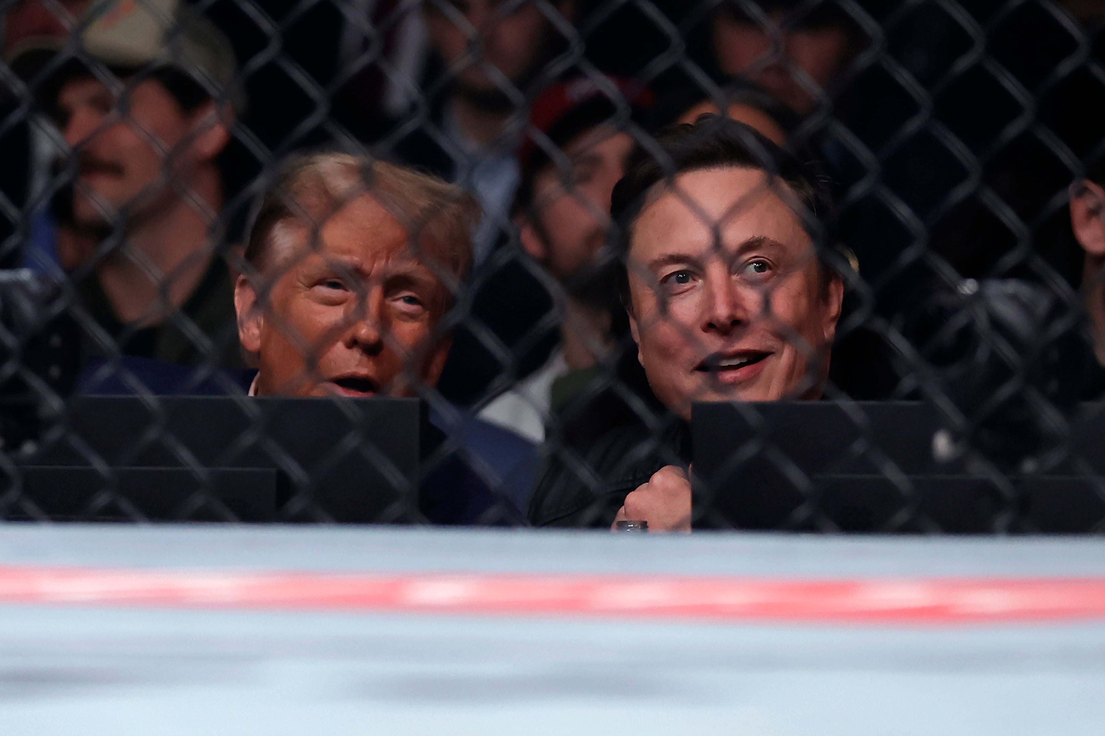 <p>President-elect Donald Trump looks on with Elon Musk, right, at a UFC 309 mixed martial arts flyweight title bout, Saturday, Nov. 16, 2024, in New York</p>