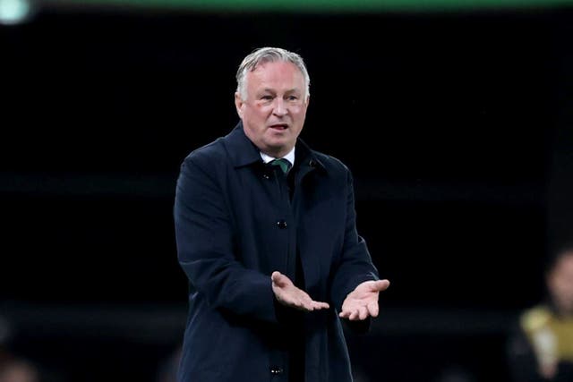 Northern Ireland manager Michael O’Neill (Liam McBurney/PA)