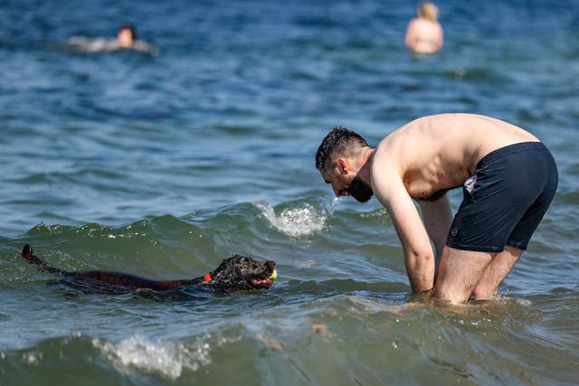 Ian Agnew from Ballyeaston with his cocker spaniel George at Helen’s Bay in Bangor, Northern Ireland, as an OEP report said the public using bathing waters could be better protected (Liam McBurney/PA)