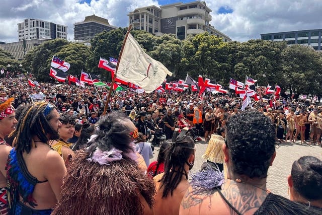 <p>Protesters gather outside New Zealand’s parliament in Wellington on 19 November 2024</p>