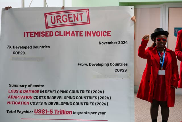 COP29 Climate Summit