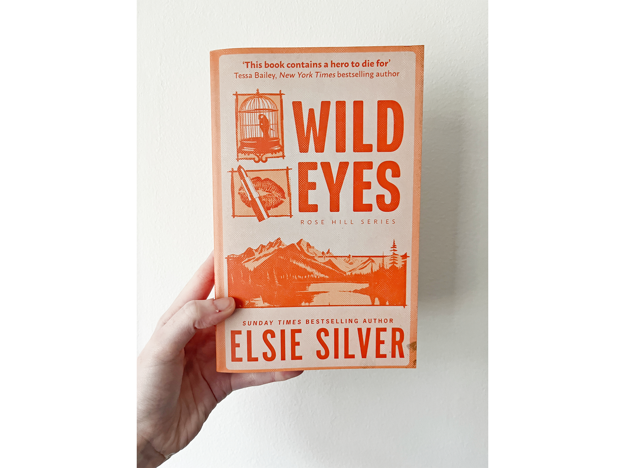 Best romance books IndyBest review ‘Wild Eyes’ by Elsie Silver, published by Little, Brown Book Group