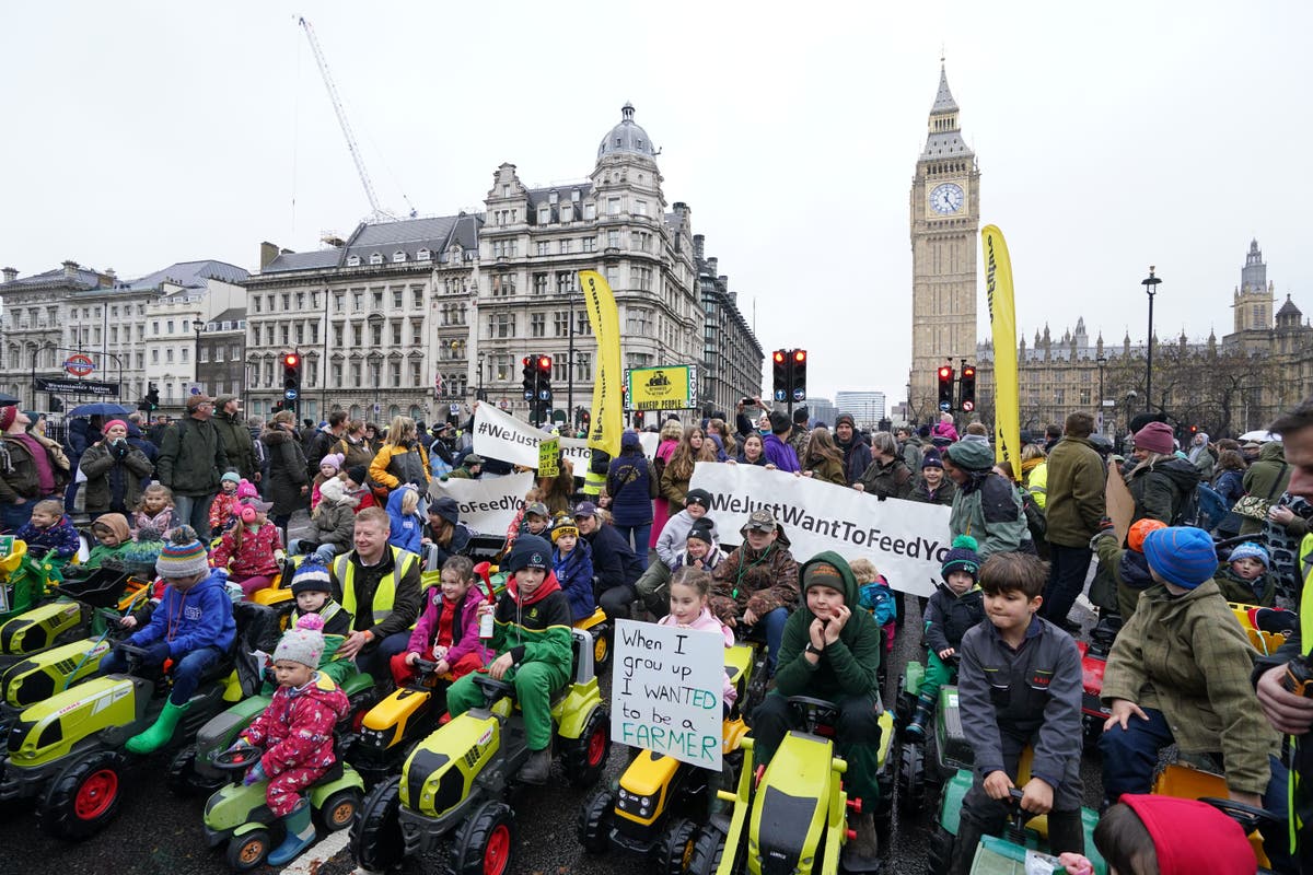 Farmers in tweed, children on toy tractors and celebrities join London protest