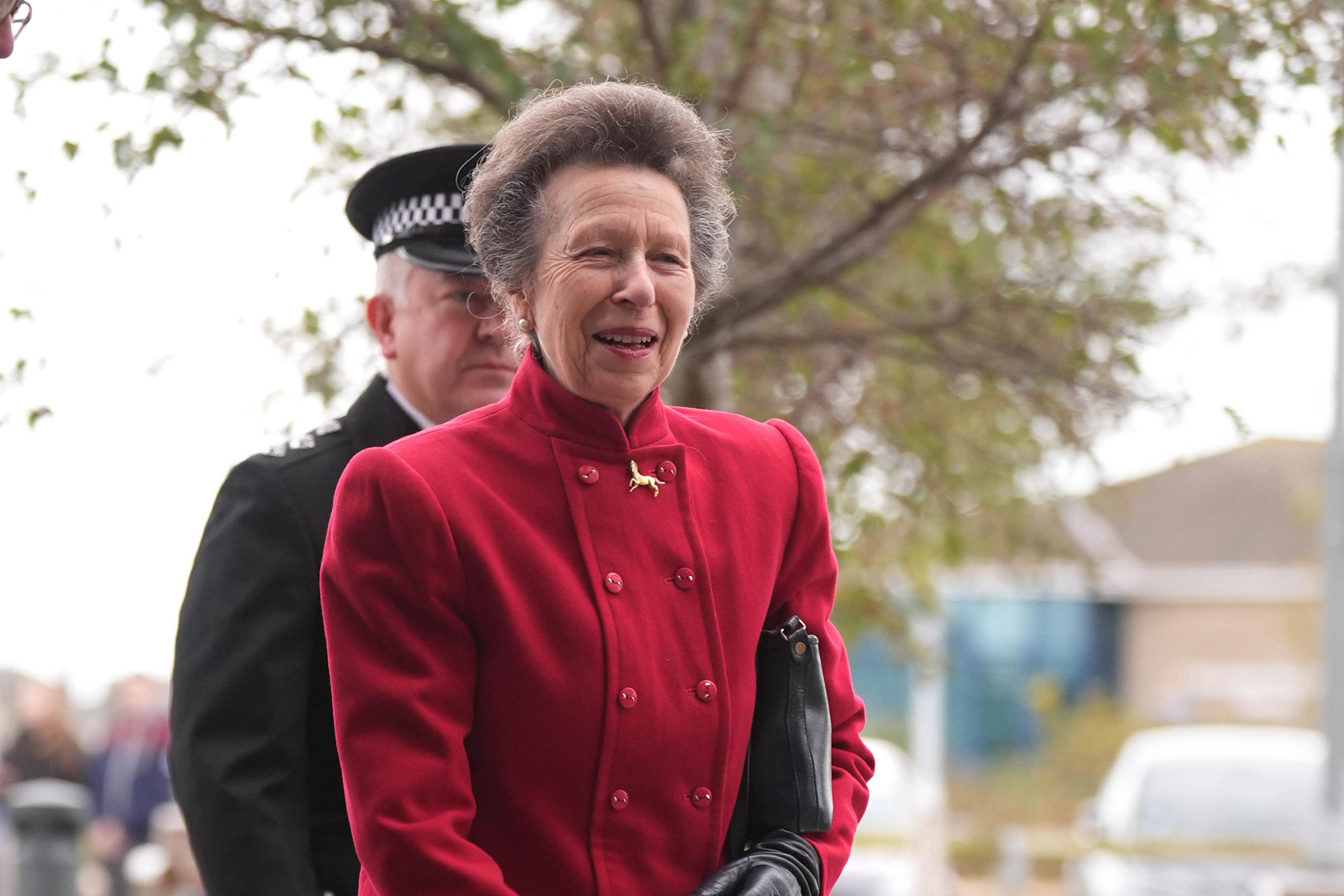 The Princess Royal arrives to officially open the Gull Wing Bridge in Lowestoft, Suffolk (Joe Giddens/PA)