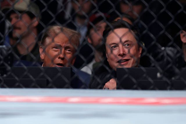 Donald Trump and Elon Musk at a UFC event on Saturday (Adam Hunger/AP)