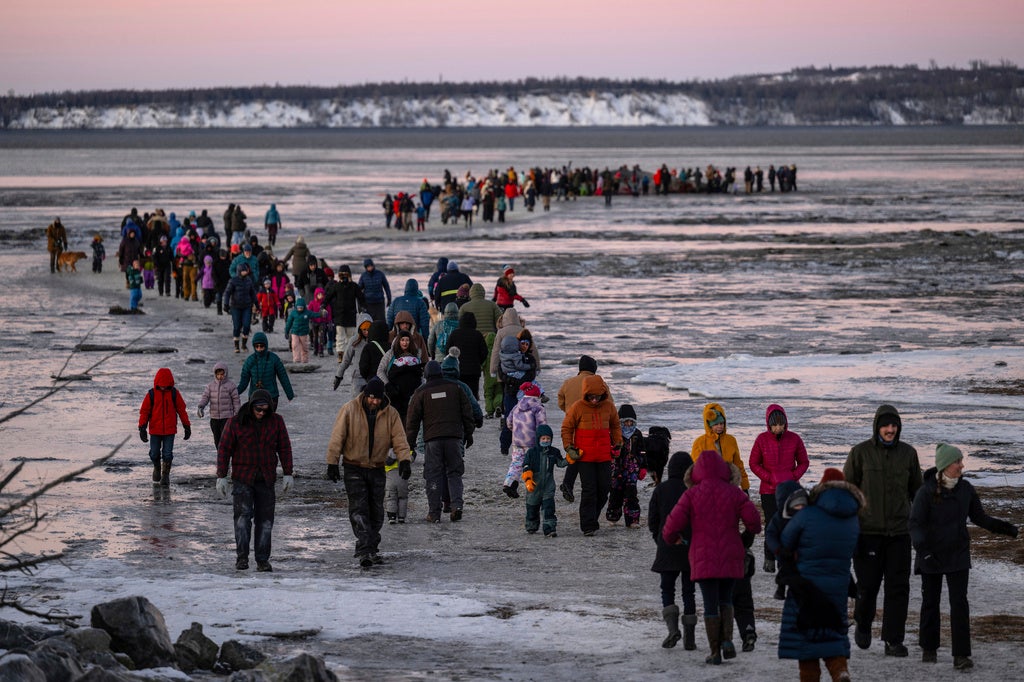 People cross the mudflats to see the carcass of a fin whale that recently came to rest there, Monday, Nov. 18, 2024, near Anchorage, Alaska, (Marc Lester/Anchorage Daily News via AP)