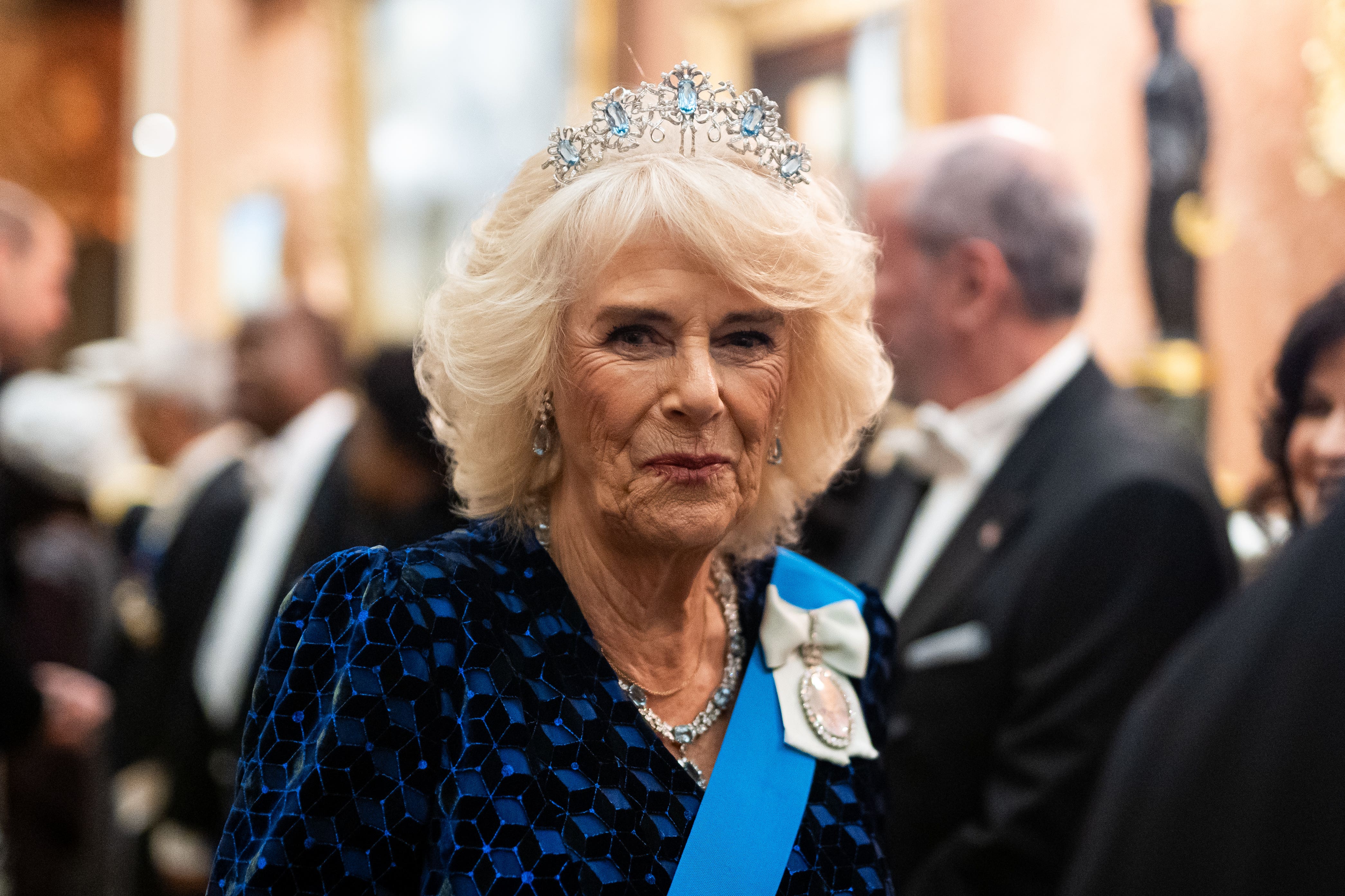 Queen Camilla during the Diplomatic Corps reception at Buckingham Palace (Aaron Chown/PA)