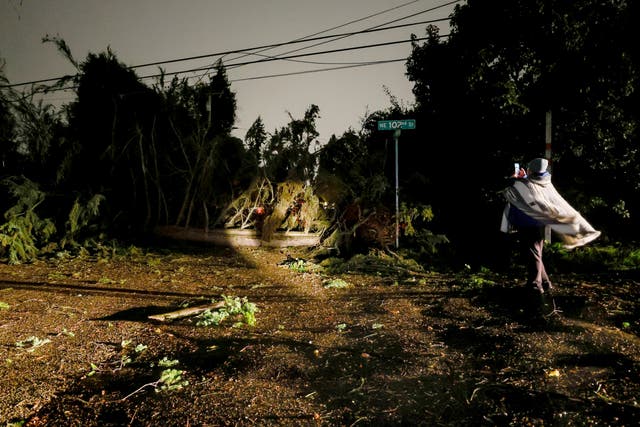 <p>A person records damage of a tree and downed power lines during a major storm in Seattle, Washington. The storm brought extreme winds whipping across much of western Washington </p>