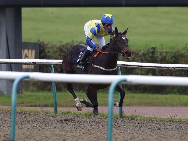 <p>Four jockeys have been banned after 28-1 Certain Style won by 40-lengths </p>