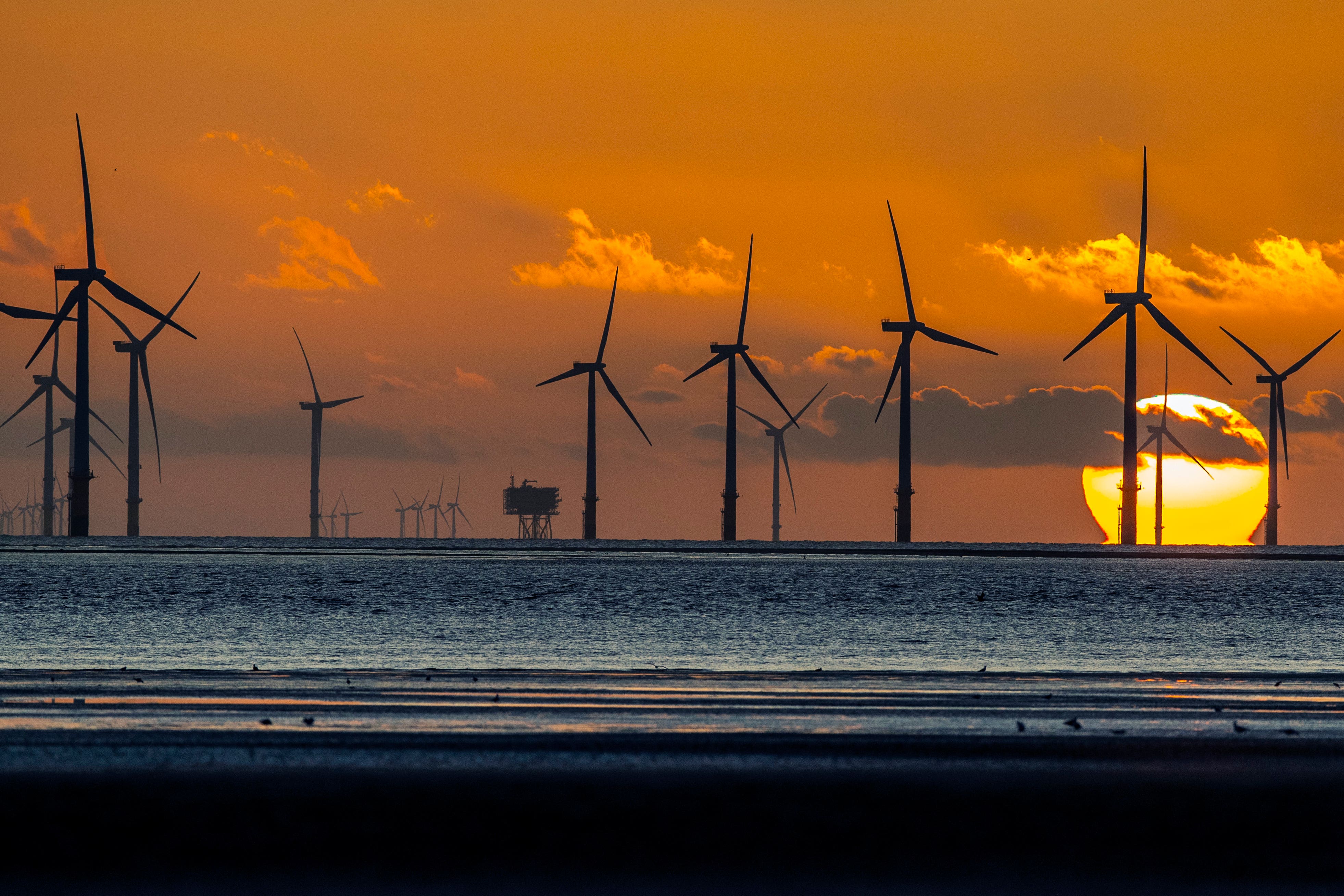 Renewable power set to overtake fossil fuels in the UK this year for the first time