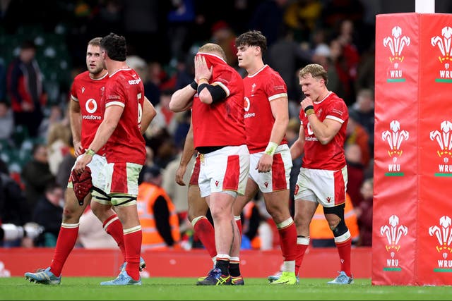 <p>Wales will only avoid a winless calendar year by beating the world champion Springboks </p>