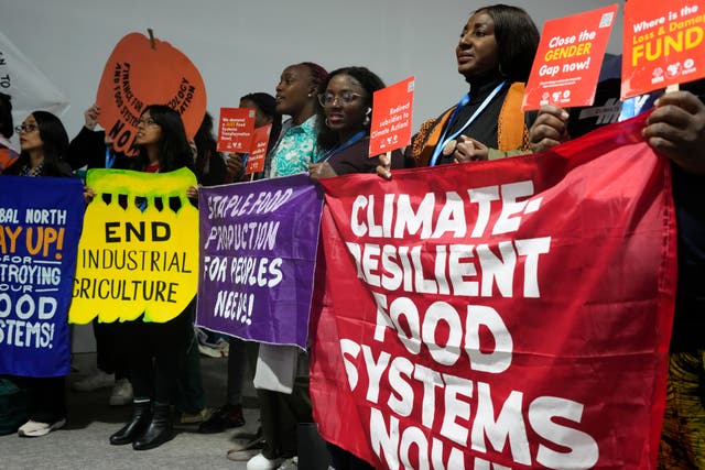 Activists at Cop29 said countries had not sufficiently incorporated nature protection and restoration into their national climate action plans (Rafiq Maqbool/AP)