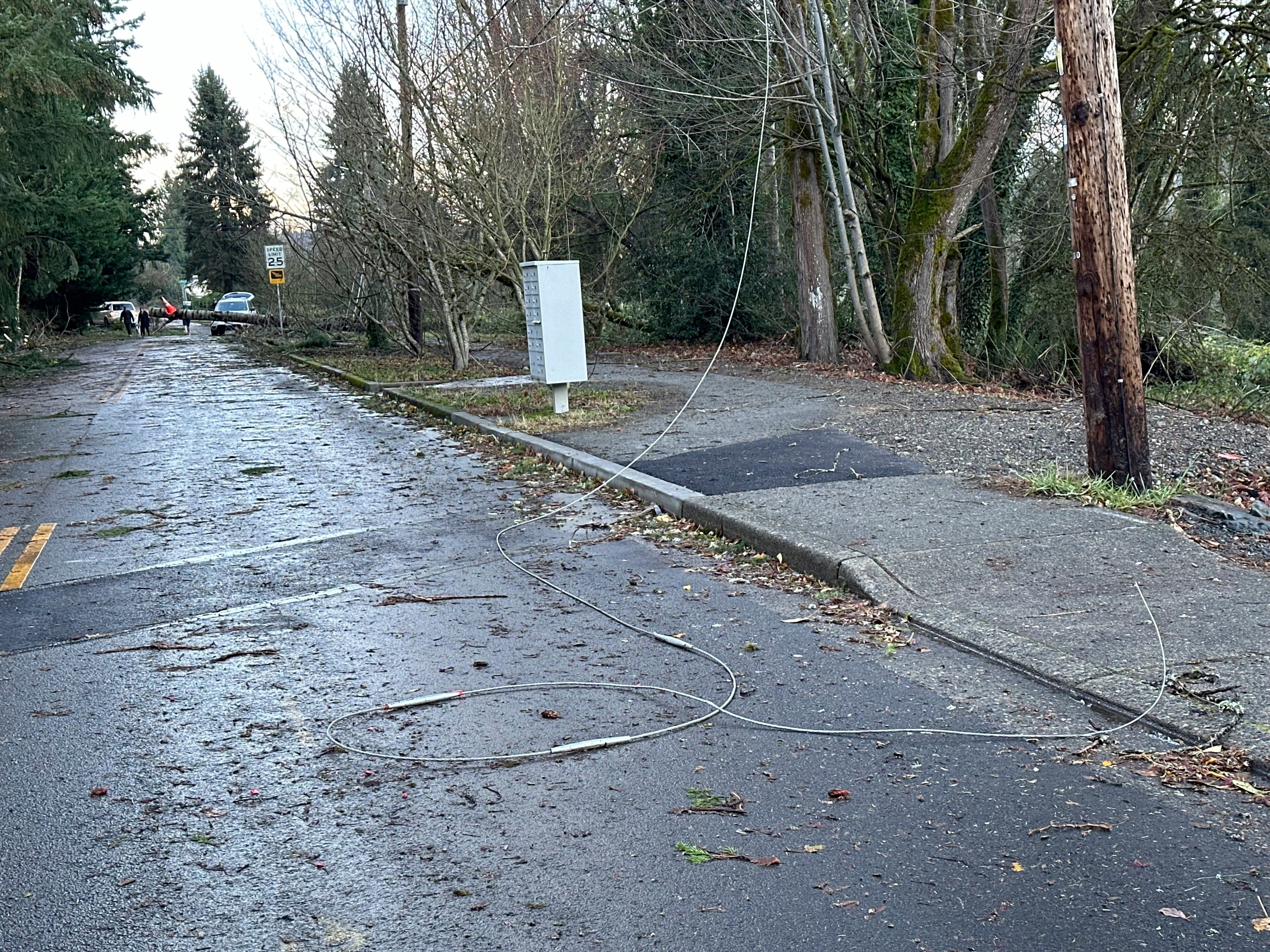 Damage is seen in Issaquah, Washington, on Wednesday, after a bomb cyclone brought high winds. Tens of thousands of customers were left without power on Wednesday