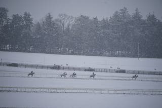 Kuda berlari kencang di Arena Balap Curragh di Co Kildare (Niall Carson/PA)