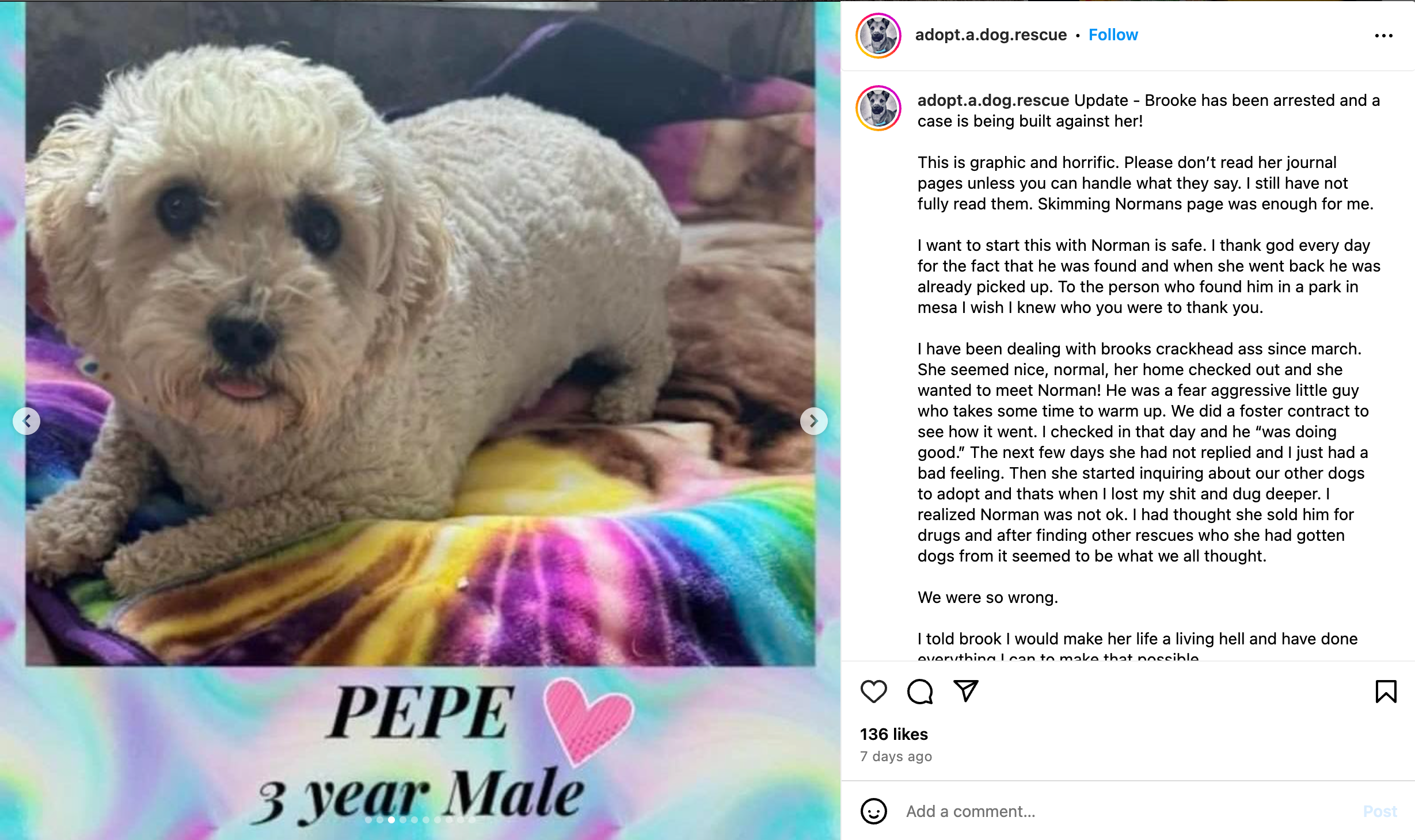 Pepe, a three-year-old Maltese mix, was one of three dogs allegedly tortured to death by Scalero